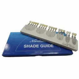 Noritake shade guide
