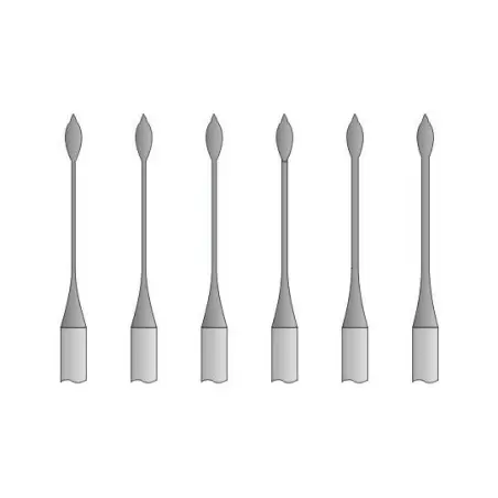 Fraises Gates Stoddard