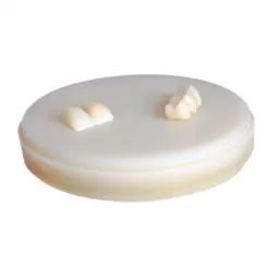 Disque PMMA Multi-Layered Polident 15mm