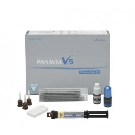 Panavia V5 Intro kit