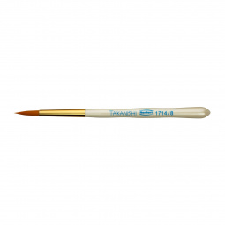 Renfert Takanishi 08 brush