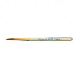 Renfert Takanishi 08 brush