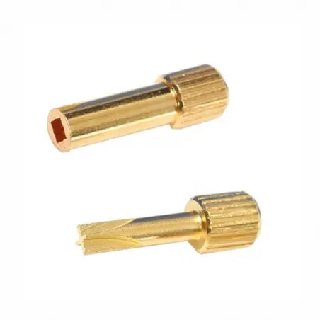 Clé pour pivots dentaires