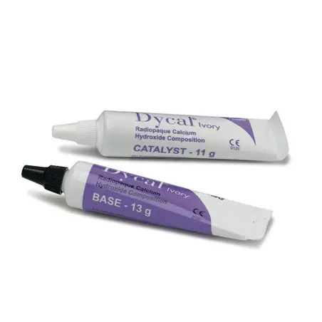 Dycal bulk (calcium hydroxyde)