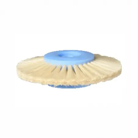 Brosse en poils blancs convergente