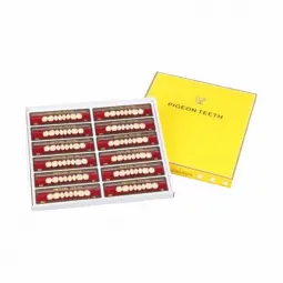 Pigeon SP-2 Acrylic tooth seal