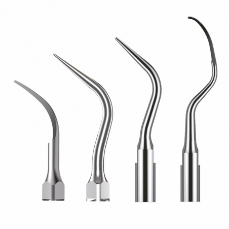 Anse parodontale XPEDENT compatibile SATELEC
