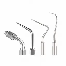 Anse endodontie XPEDENT compatibile SATELEC