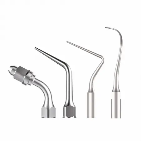 Anse endodontie XPEDENT compatibile SATELEC