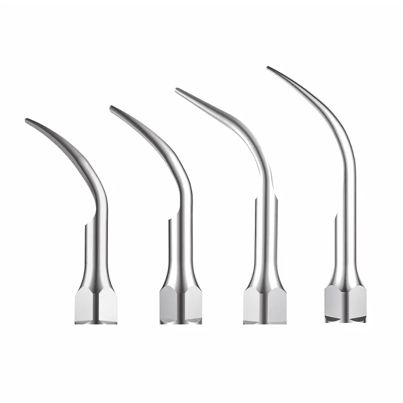 XPEDENT scaling tips compatible with EMS