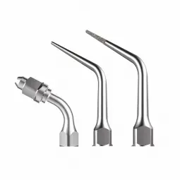 XPEDENT endodontic scaling tips compatible with EMS