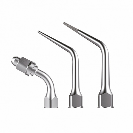 Anse endodontie XPEDENT compatibile EMS