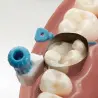 Palodent 360 Intro Kit