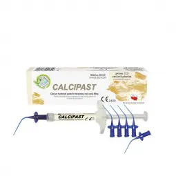 Calcipast pâte à hydroxide de calcium 2,1g