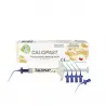 Calcipast pâte à hydroxide de calcium 2,1g