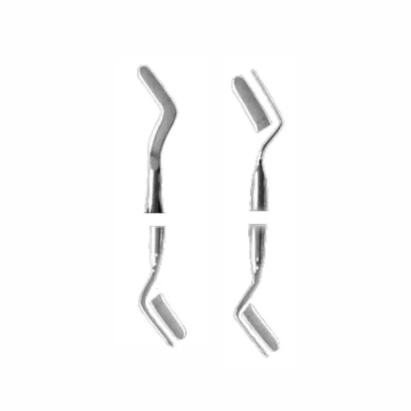 Spatula dentara