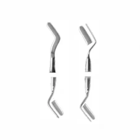 Spatula dentara