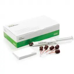 GuttaFlow2 Standard Set Roeko Coltene seringue de 5ml