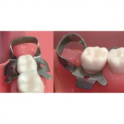 Distal dam clamp (mat)
