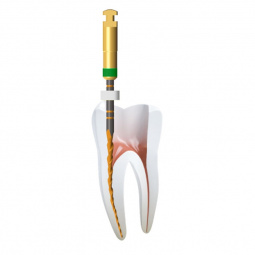 Ace rotative inteligente C-Wire | Ace rotativeMicromega Coltene