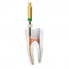 C-Wire intelligent rotary needles | Micromega Coltene rotary needles