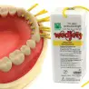 Dental dam stabilizing cord Hygenic L orange