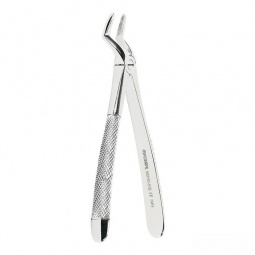 Upper root extraction...