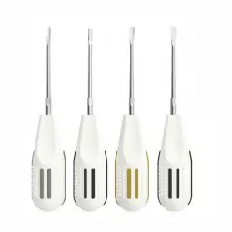 Luxateurs AsaDental set 4 pièces