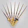 Aiguilles rotatives ProTaper Gold 25mm Maillefer set 6 aiguilles