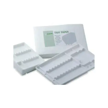 Plateaux en plastique jetables blancs de grande taille