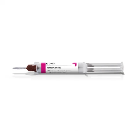 TempoCem NE syringe11g