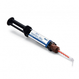 Maxcem Elite 5g bulk syringe