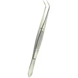 Pensa dentara