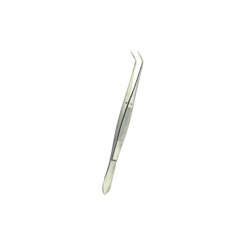 Pensa dentara