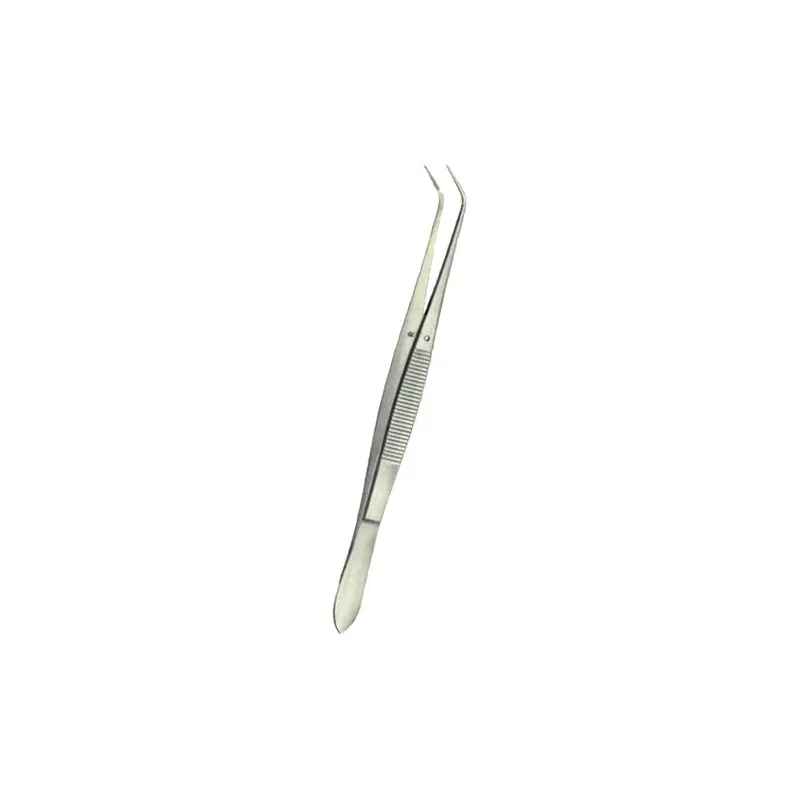 Pensa dentara