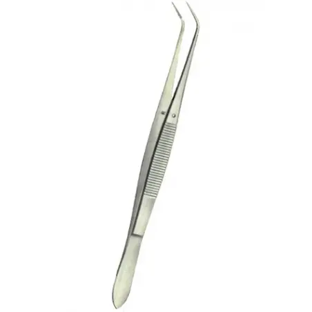 Pensa dentara