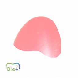 TopBase Bio+ placa rebazari proteze maxilar 1 buc Elsodent