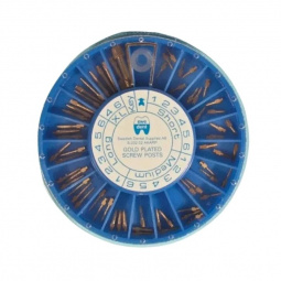 Pivots endodontiques set 120 pcs acier doré