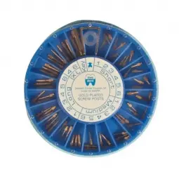 Pivots endodontiques set 120 pcs acier doré
