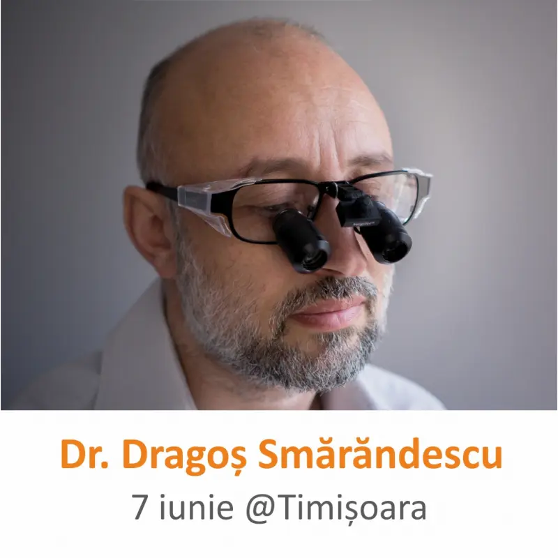 Modulul H2: Estetica si fatetari @Timisoara