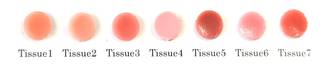 new_tissue_colors_noritake2.jpg