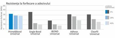 Prime&Bond-grafic.jpg